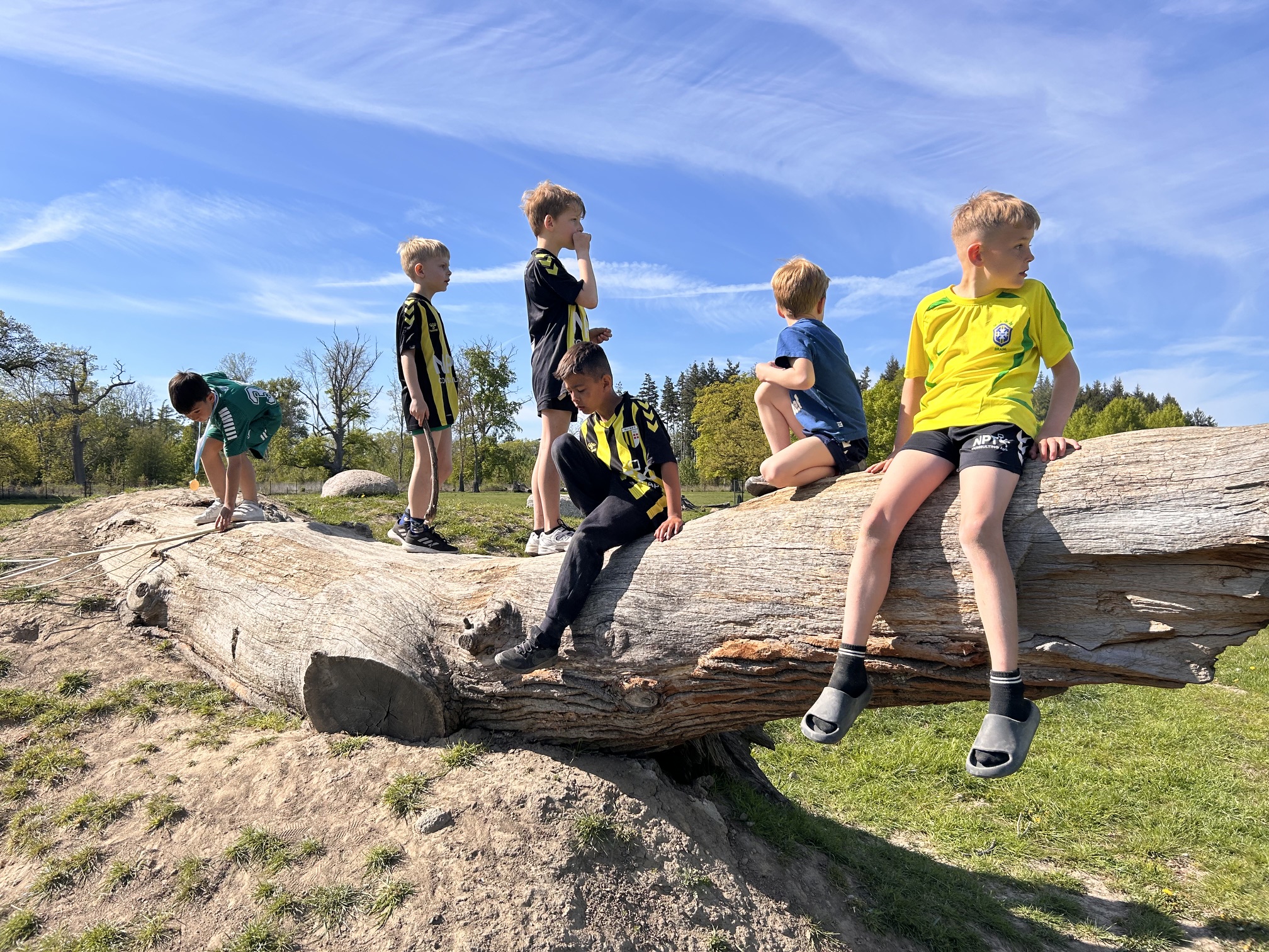 U8 hold - Knuthenborg 9. maj 2026 billede 16