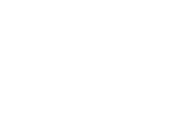 XL Byg